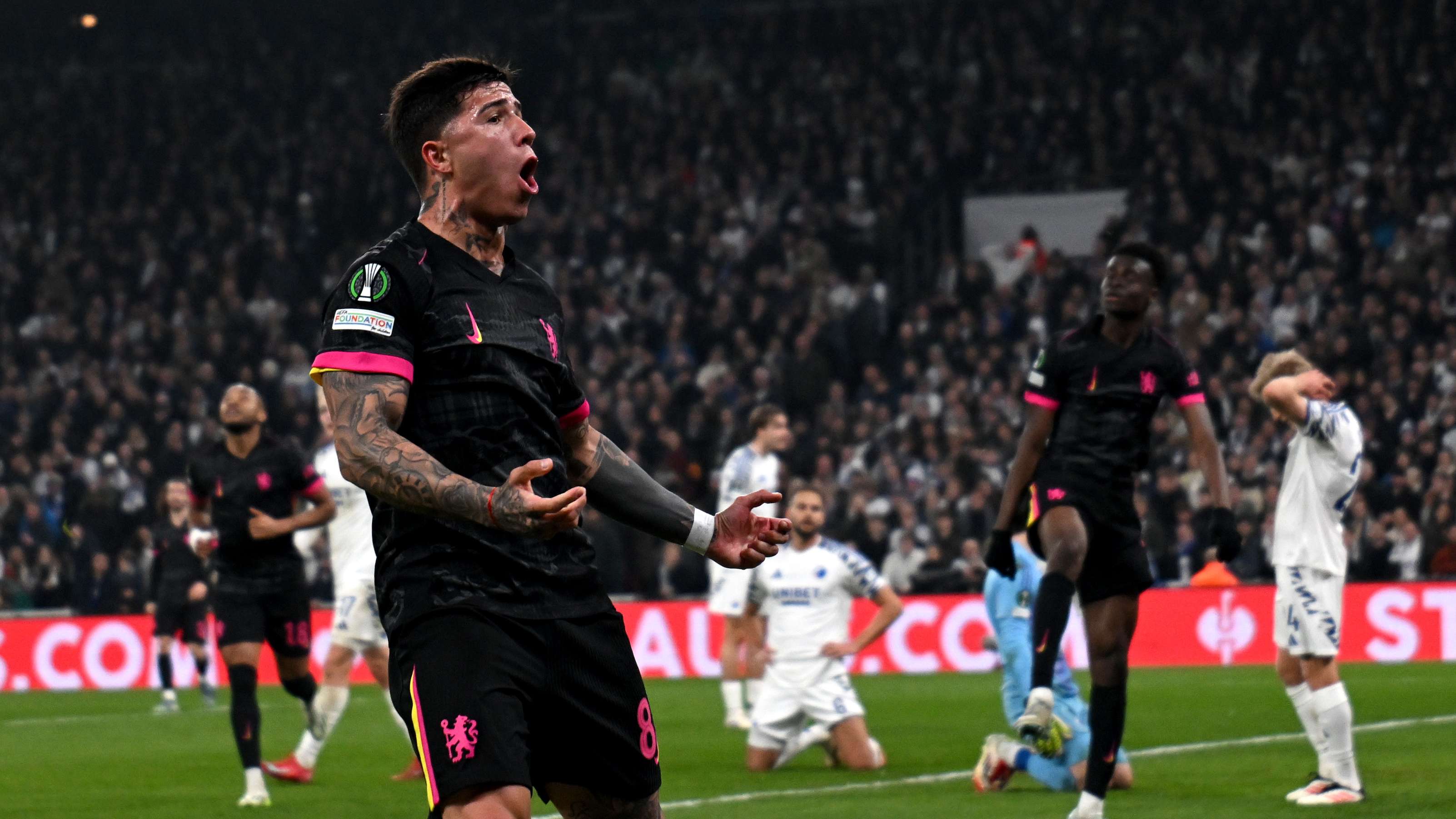 近年来稳步 近年来稳步